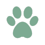 Mascotas